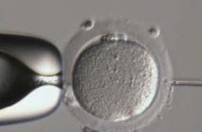 🔒 Andrologie: ICSI – Bekommen infertile Väter infertile Kinder?
